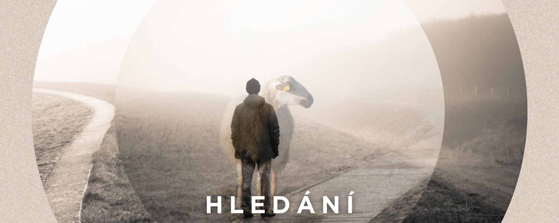 Hledání