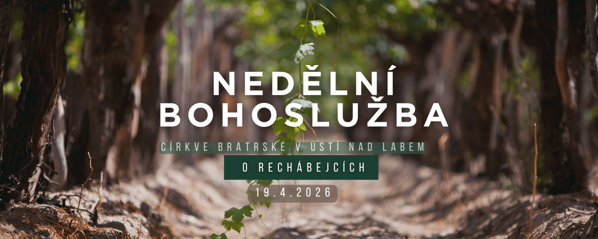 O Rekábejcích